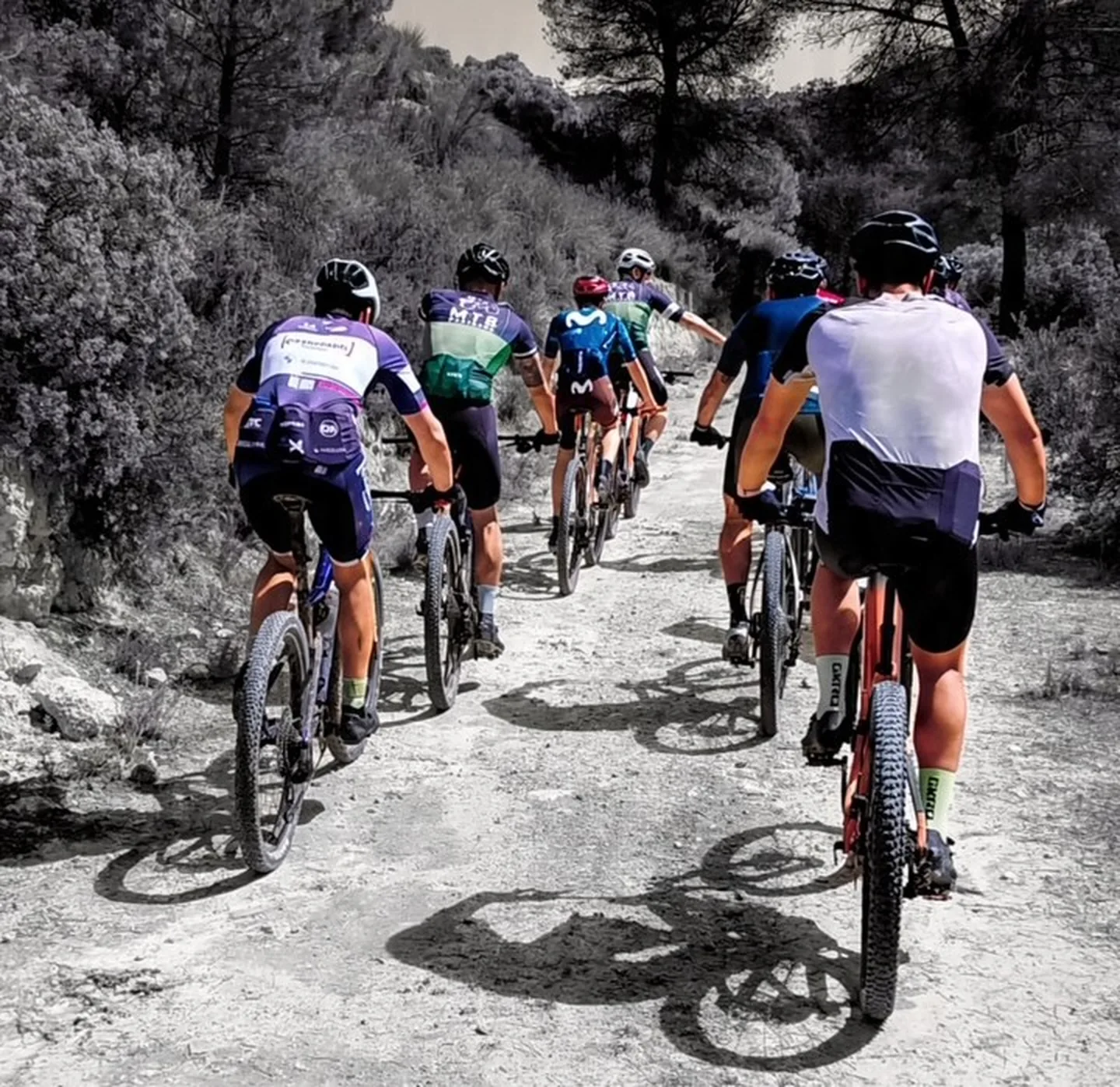 Grupo de ciclistas rodando en fila por un sendero durante una salida