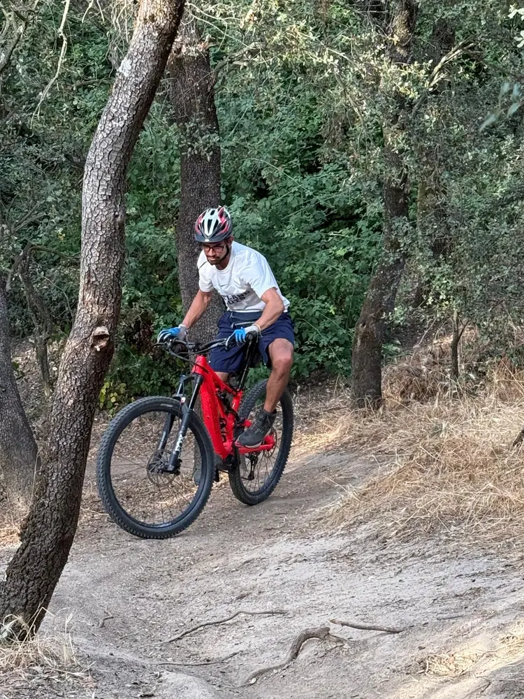 Ciclista rodando por un sendero entre encinas